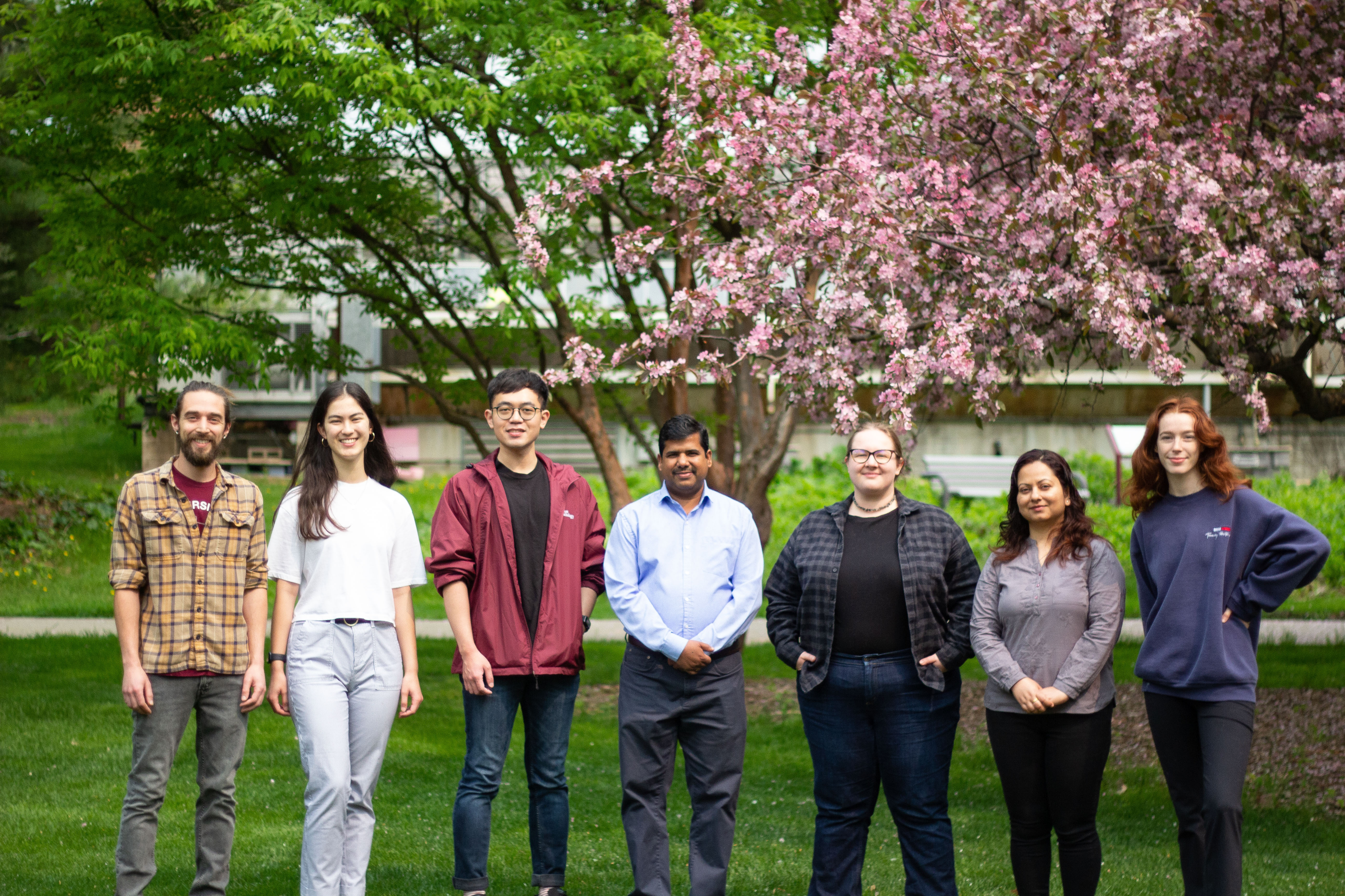 seven lab members smiling in front of a pink flowering tree